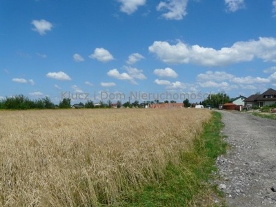 Działka, Nowa Wola, 5000 m²