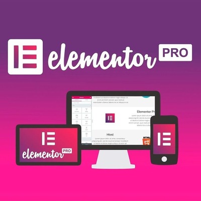 Wtyczka Plugin Elementor PRO