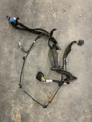 Джгут трубопровід двері передніх master iii 249087r фото №1