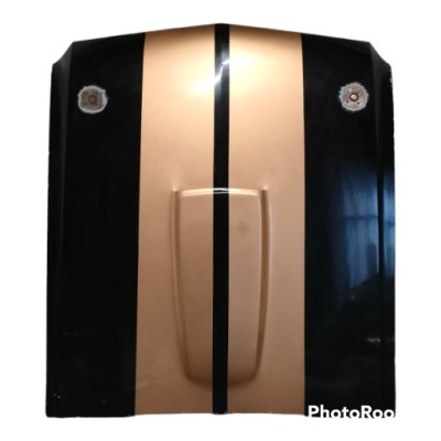 Капот ford mustang shelbi 1965-73 фото №1