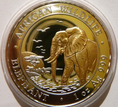 100 SHILL SOMALIA 2010 SŁOŃ PROOF Ag/Au 999 UNCJA