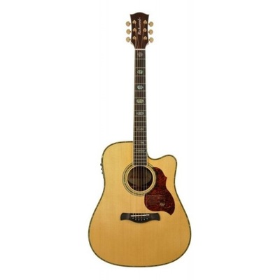 Richwood D-70-CEVA Master Series gitara