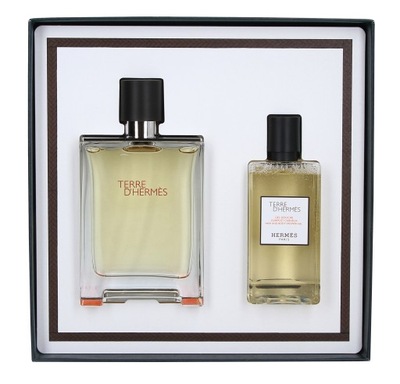 Hermes Terre d'Hermès zestaw 100ml EDT + żel pod prysznic 80 ml