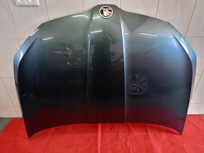 CAPO SKODA FABIA 3  