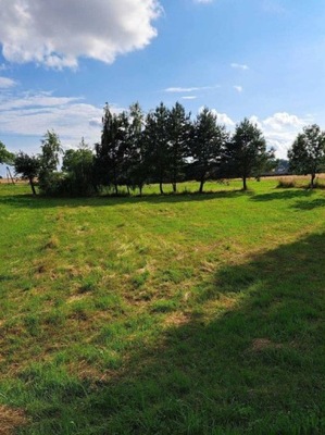 Działka, Paczyna, Toszek (gm.), 15467 m²