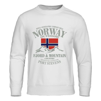 Norway Fjord Mountain Prints Hoodies For Menautumn