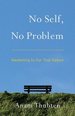 NO SELF, NO PROBLEM: AWAKENING TO OUR TRUE NATURE - Anam Thubten [KSIĄŻKA]