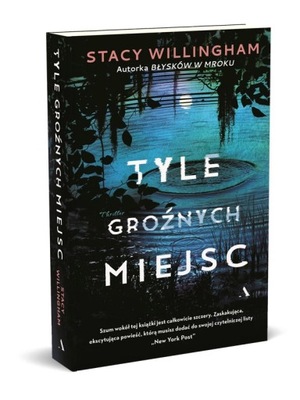 Tyle groźnych miejsc - Stacy Willingham