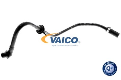 VAICO CABLE PROZNIOWY AUDI A3 SKODA OCTAVIA I 1.6 09.96-12.07  