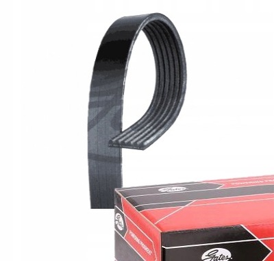 BELT WEDGE MULTI-RIBBED GATES DO CHERY TIGGO 3 1.6  