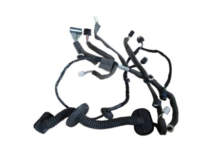 241252380r жгут электропроводка дверь левый перед renault megane iii 5d kombi фото №1