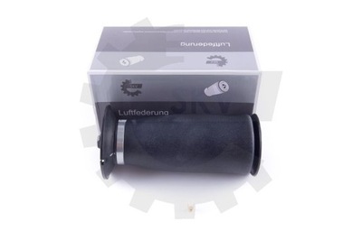 Esen skv 58skv021 подушка повітряна, підвіска фото №1