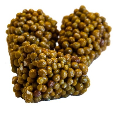 Substral KORECZKI OSMOCOTE DO STORCZYKÓW 10SZT WYPRZEDAŻ