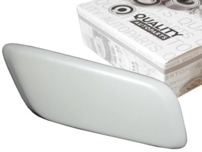 Заглушка лампы распылителя w бампер p lexus rx iii rx270 rx350 rx450h 12- фото №1