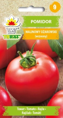 Pomidor MALINOWY OŻAROWSKI wczesny