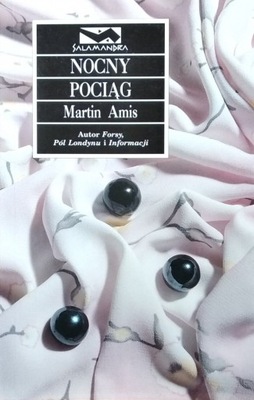 Martin Amis Nocny pociąg