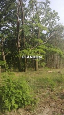 Działka, Warszawa, Wawer, 2500 m²