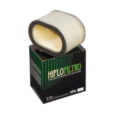 FILTRO AIRE HIFLO HFA3901 RAPTOR 1000 00-05  