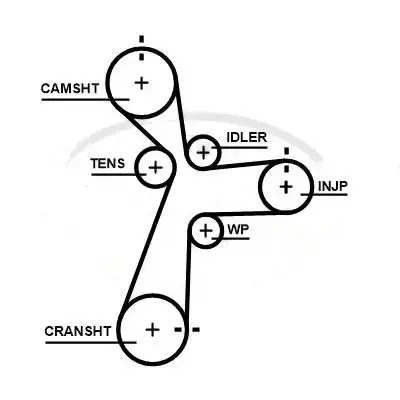 Ремінь розподільного валу 5696xs gates hyundai фото №1
