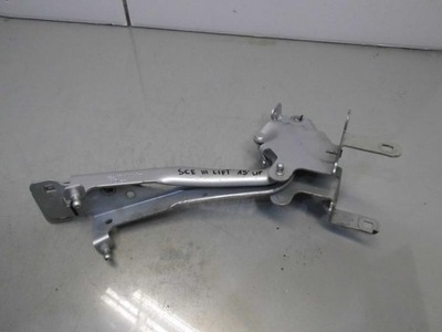 Петля капот лівий renault scenic iii 654010004r фото №1