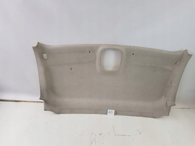 Потолок trafic iii vivaro b talento фото №1