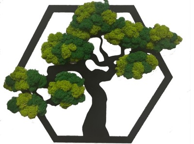 Drzewko bonsai Mech Chrobotek Hexagon 60 cm