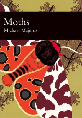 Moths group work