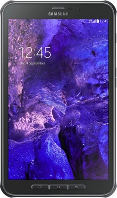 Tablet Samsung Galaxy Tab Active (T365) 8" 2 GB / 16 GB szary