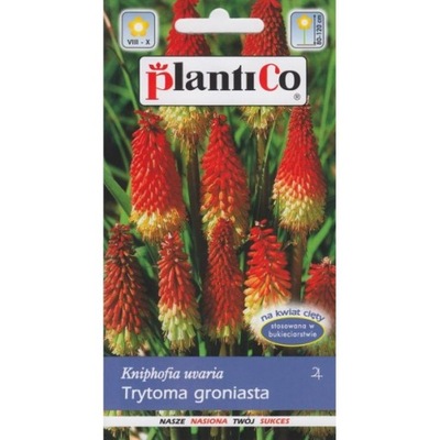 Trytoma groniasta 0.2g