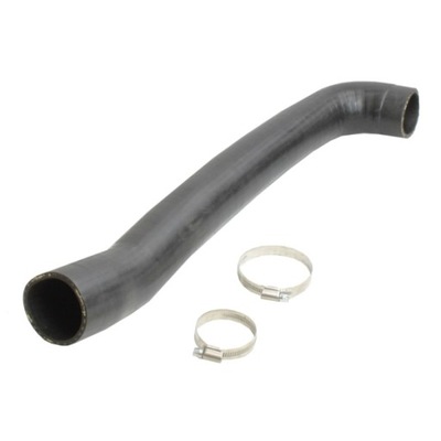 Bugiad 82387 шланг повітря наддувний фото №1