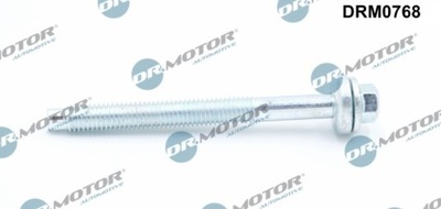 VARŽTAS ĮPURŠKIKLIO DRM0768 DR.MOTOR AUTOMOTIVE SRUBA, ĮPURŠKIKLIAI DRM0768 