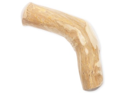 Gryzak 4DOGS Patyk z drzewa kawowego L (1 szt.)