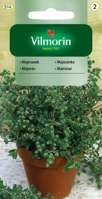 Majeranek - nasiona ziół VILMORIN