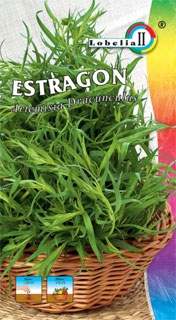 Nasiona Ziół Estragon 0,1 g