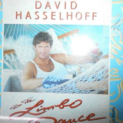 David Hasselhoff do the