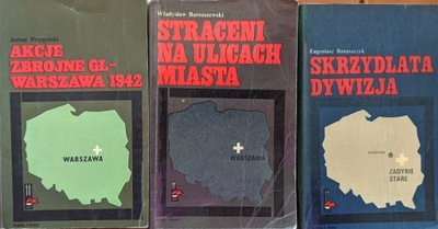 Biblioteka Pamięci Pokoleń x 10 książek