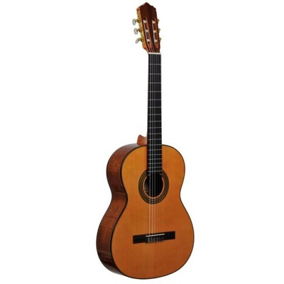 SEGOVIA CG-80C GITARA KLASYCZNA 4/4 LITY TOP CEDR