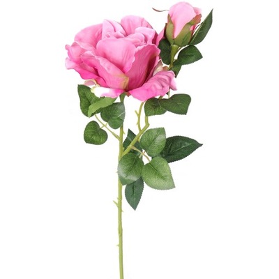 Gałązka róży z kolcami i pąkiem różowym