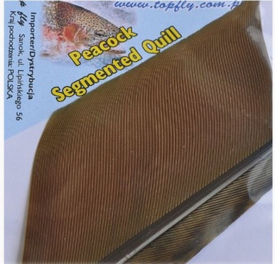 Top Fly Lotka pawia Peacock Segmented Dark Olive