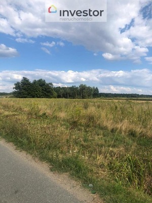 Działka, Karczów, Dąbrowa (gm.), 1226 m²