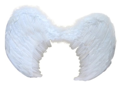 Skrzydła Anioła Jasełka skrzydełka 65 x 45 cm