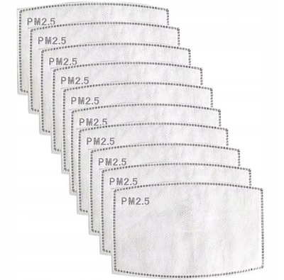 ФІЛЬТРА DO КАПОТА PM 2.5 HEPA 10SZT