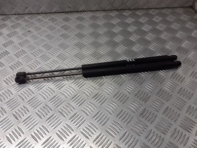 Амортизаторы амортизаторы крышки задняя renault scenic ii фото №1