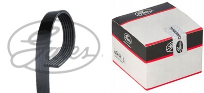 BELT WIELOROWK. BMW BMW X1 (F48) SDRIVE 18 D BMW  