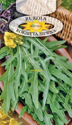Nasiona rukola Rokietta Siewna 0,5 g Roltico