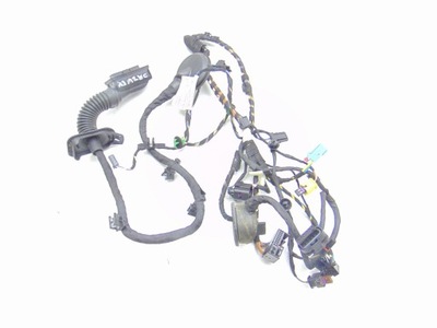 Жгут электропроводка разъёмы дверь правая audi r8 4s 4s8971030c eu фото №1