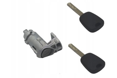 Вкладка двері задніх renault master iii 2010-2020 2 ключі фото №1