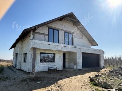 Dom, Olszany, Jasieniec (gm.), 321 m²