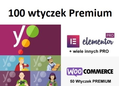 Yoast SEO PRO Pakiet + 58 innych PRO. WordPress