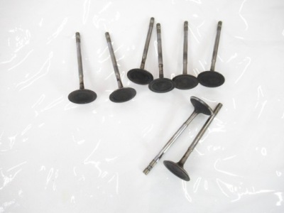 Клапан всасывающий bmw e70 f01 f02 f06 f10 f13 n63 v8 фото №1